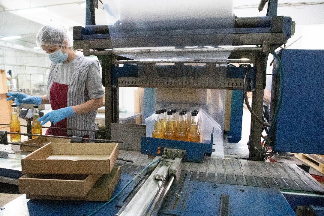 лыткарино, Комбуча