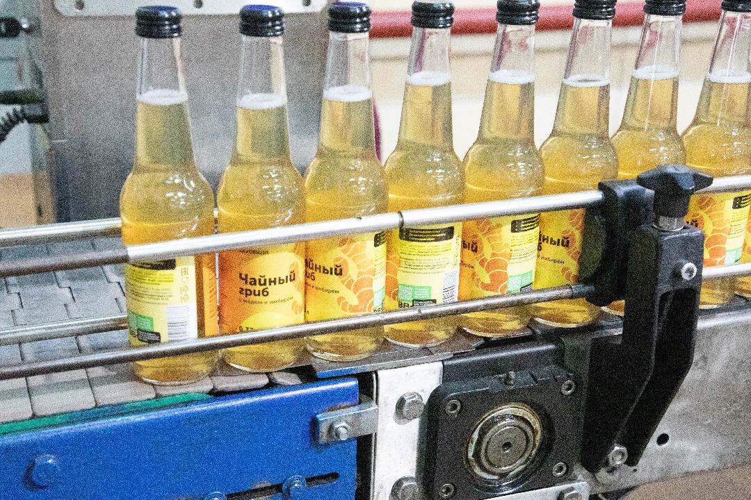 лыткарино, Комбуча