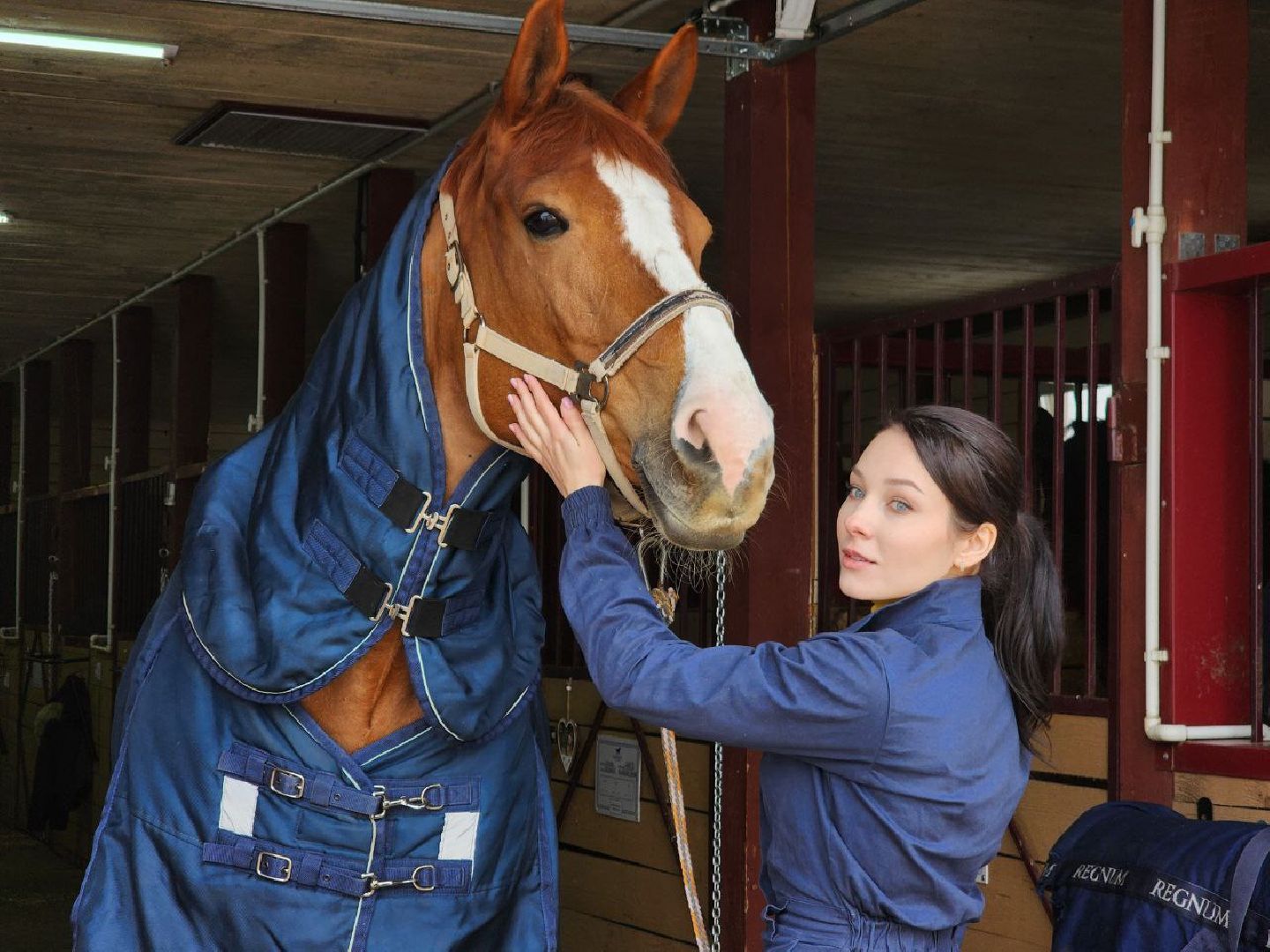 можайск, можайский городской округ, подмосковье, ветеринар, врач, лечение животных, животные, лошади, крупный рогатый скот, мобильная помощь,