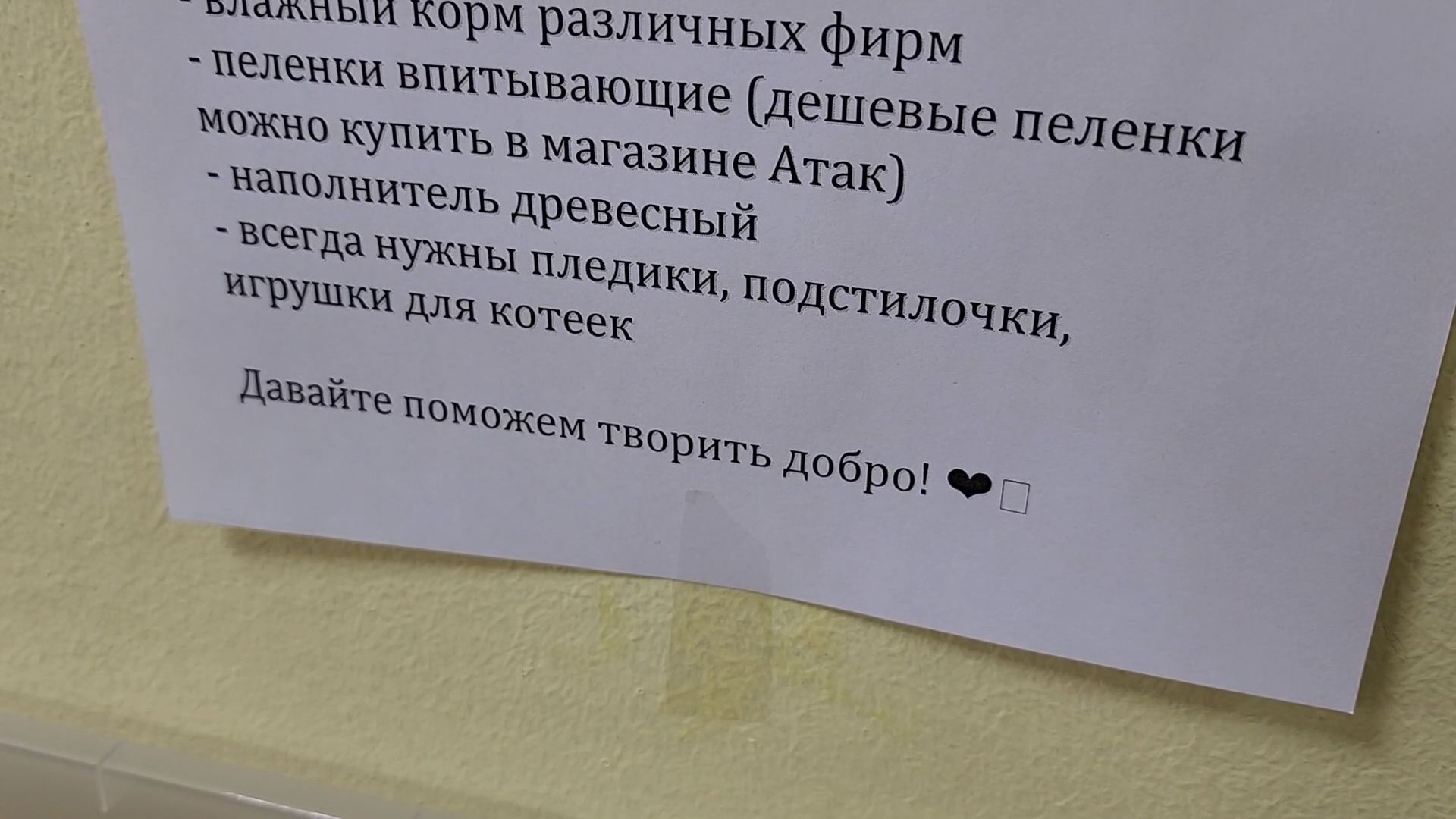 Приют, Кошки, Животные, Благотворительность, Сбор, Дубна,