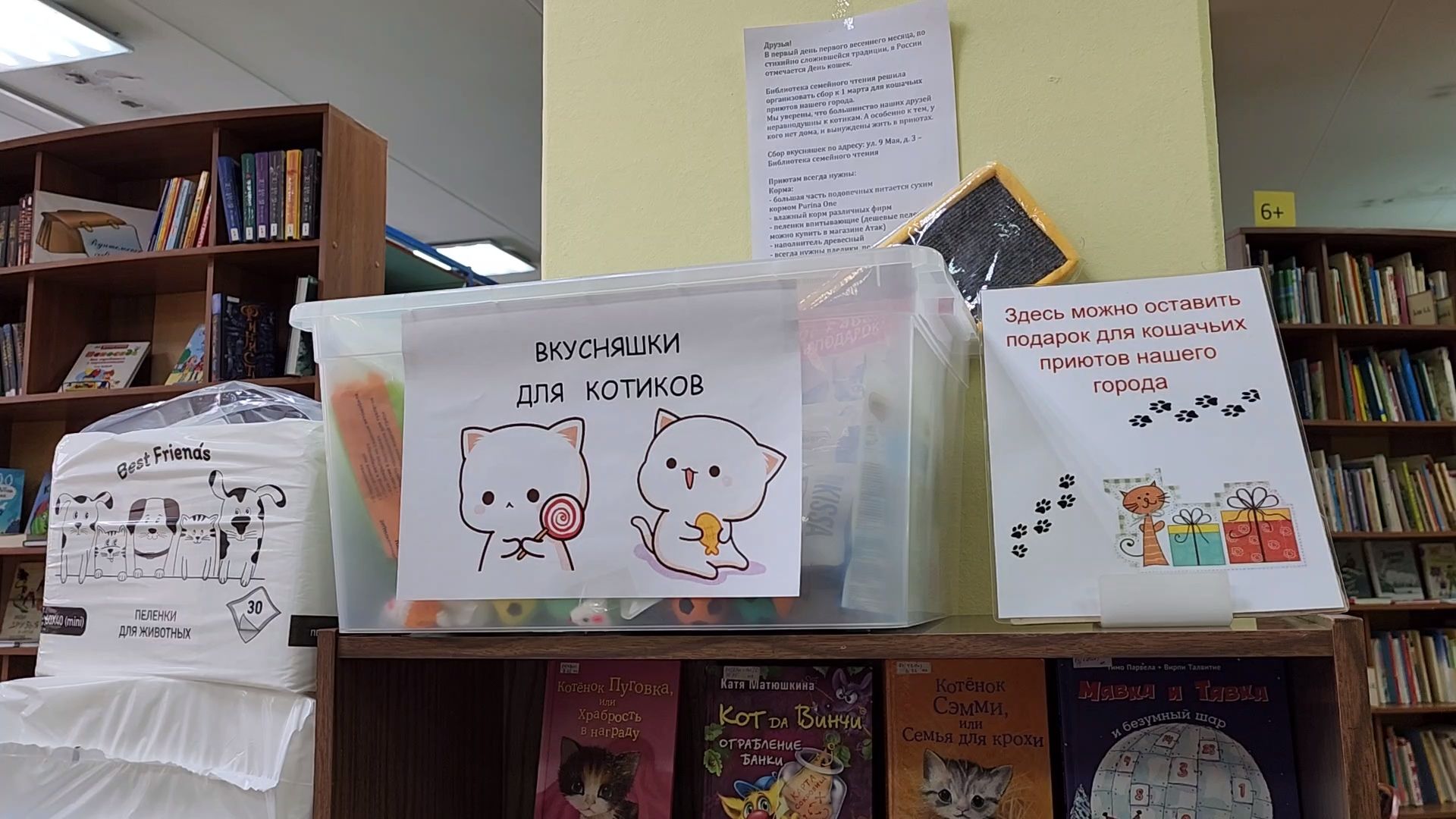 Приют, Кошки, Животные, Благотворительность, Сбор, Дубна,