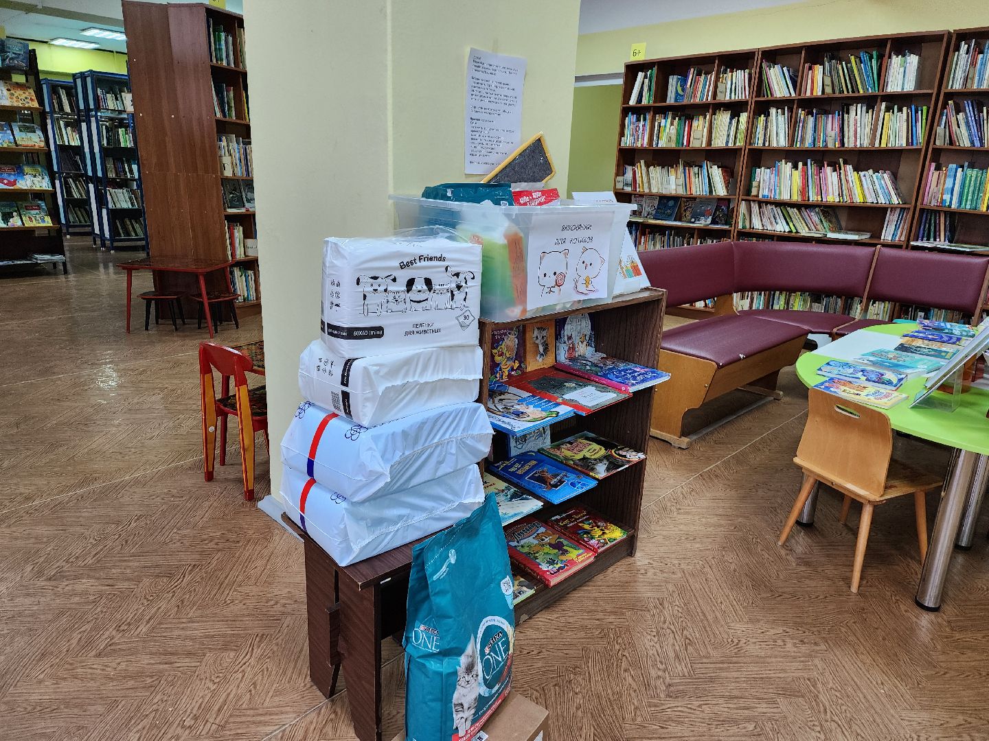 Приют, Кошки, Животные, Благотворительность, Сбор, Дубна,