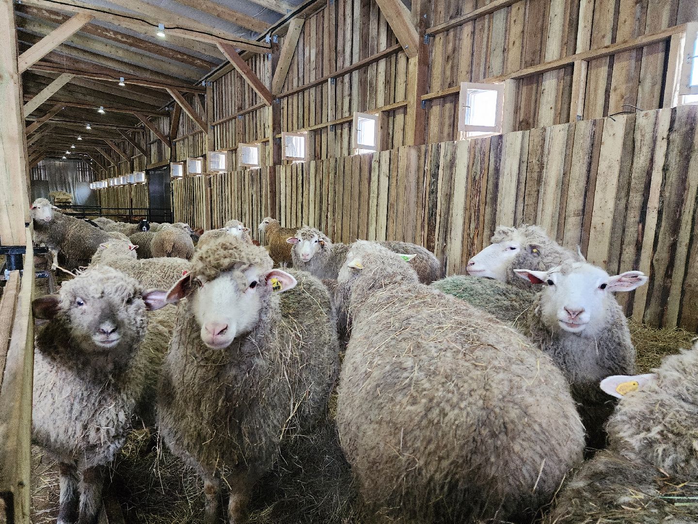 серпухов, подмосковье, сельское хозяйство, агротуризм, хутор спасский,