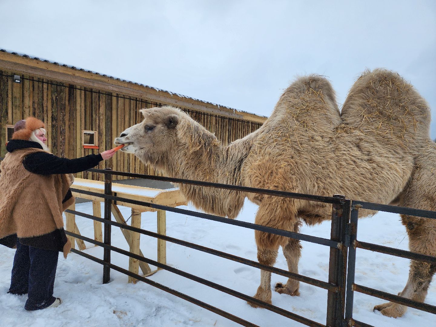 серпухов, подмосковье, сельское хозяйство, агротуризм, хутор спасский,