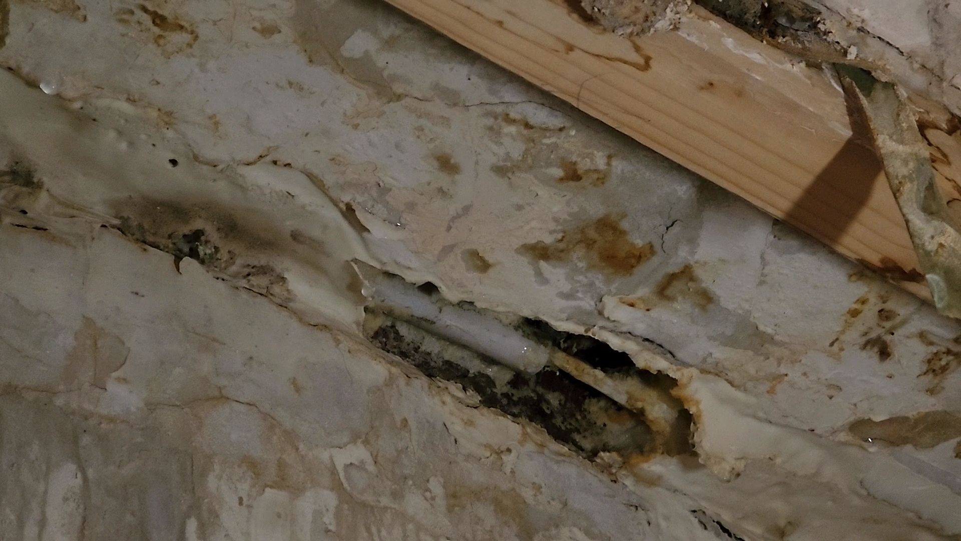 Одинцово, внииссок, густ мо, капремонт, кровля, протечка, потоп,