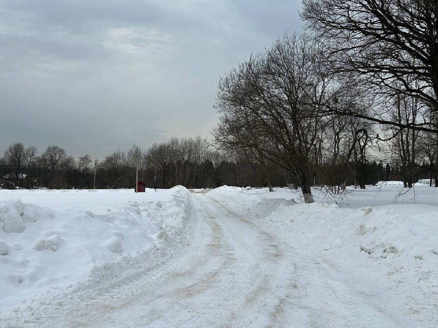 Подмосковье, Городской округ Пушкинский, Ашукино, выездная администрация,
