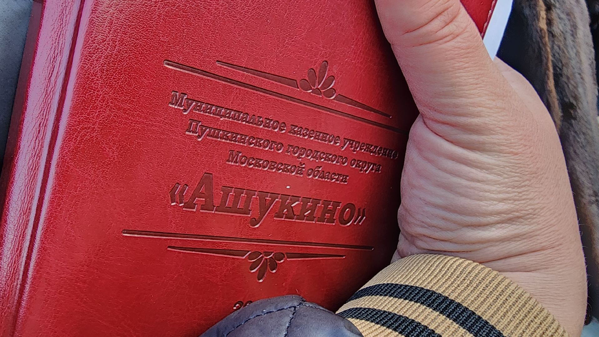 Подмосковье, Городской округ Пушкинский, Ашукино, выездная администрация,