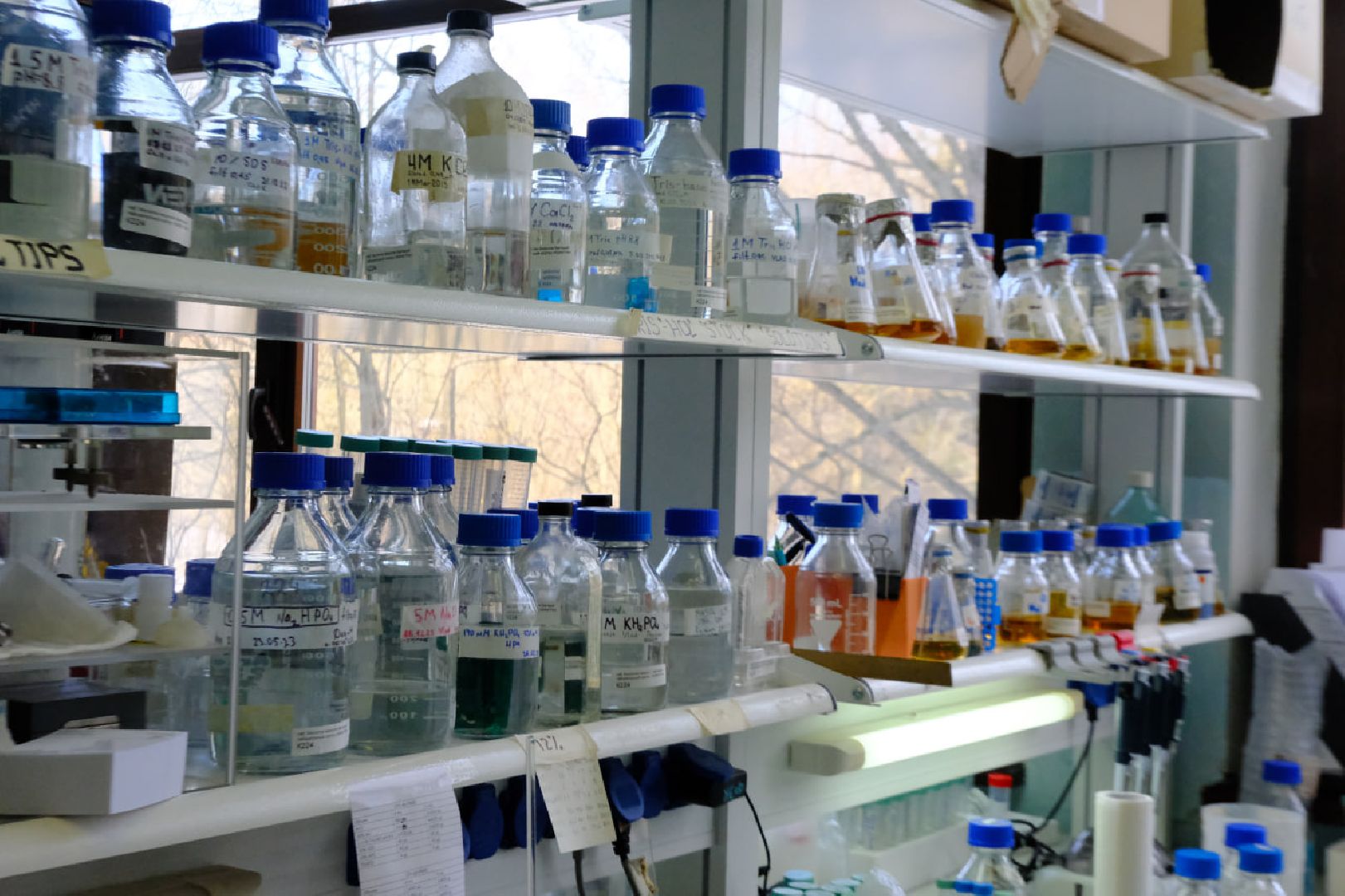 Пущино, наука,