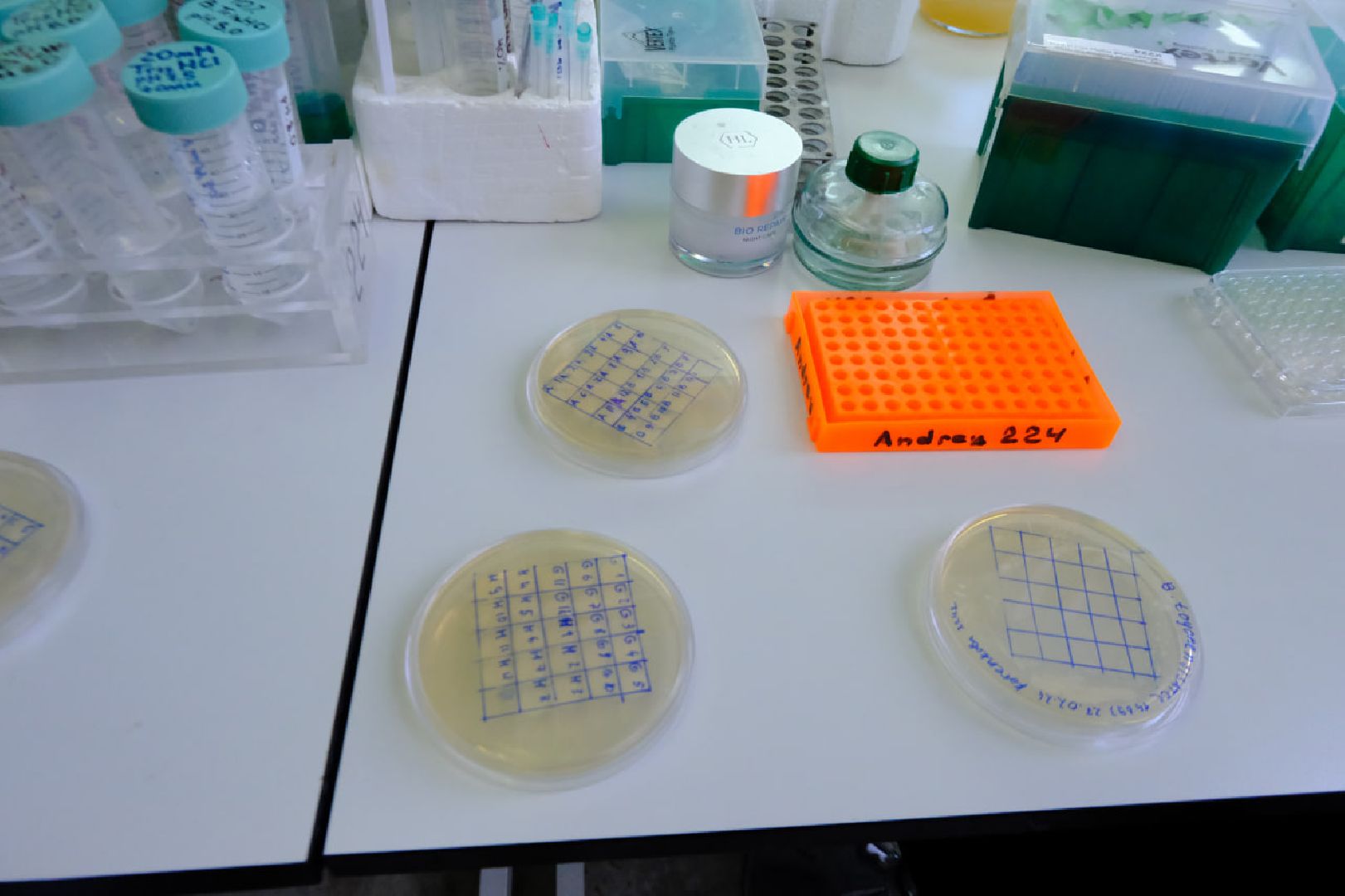 Пущино, наука,