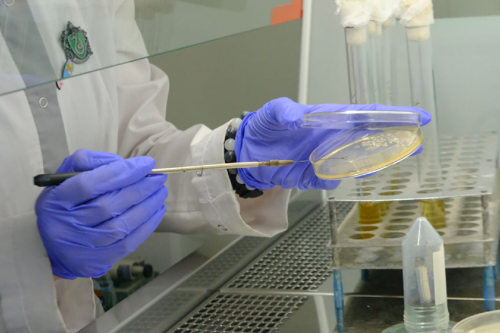 Пущино, наука,