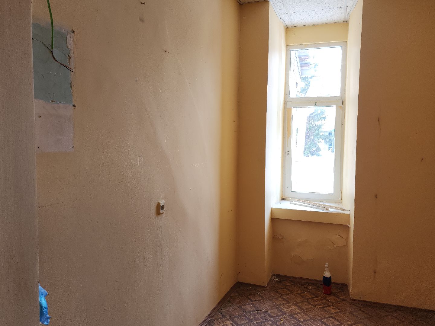 коломна, храм, культура,