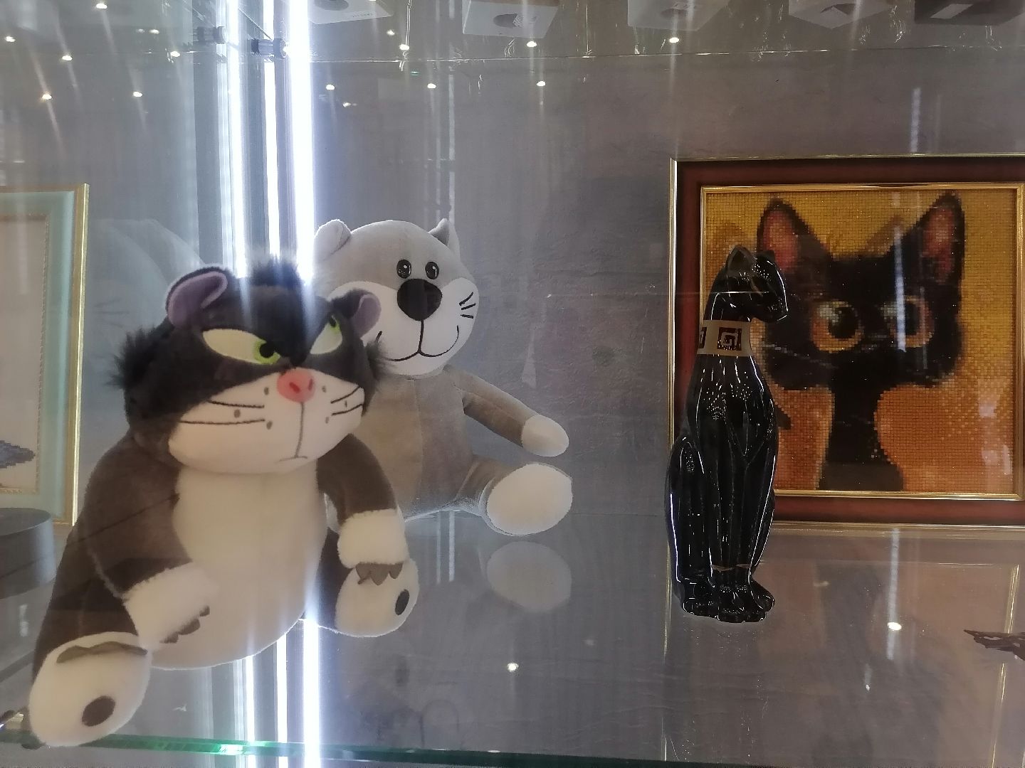 кошки, Фотографии, Картины, Частная коллекция,