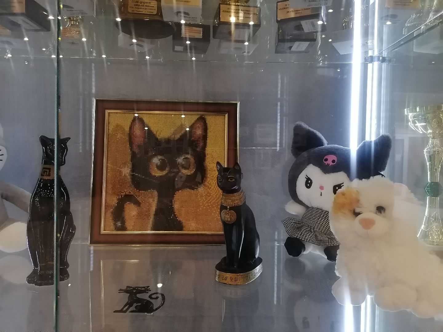 кошки, Фотографии, Картины, Частная коллекция,