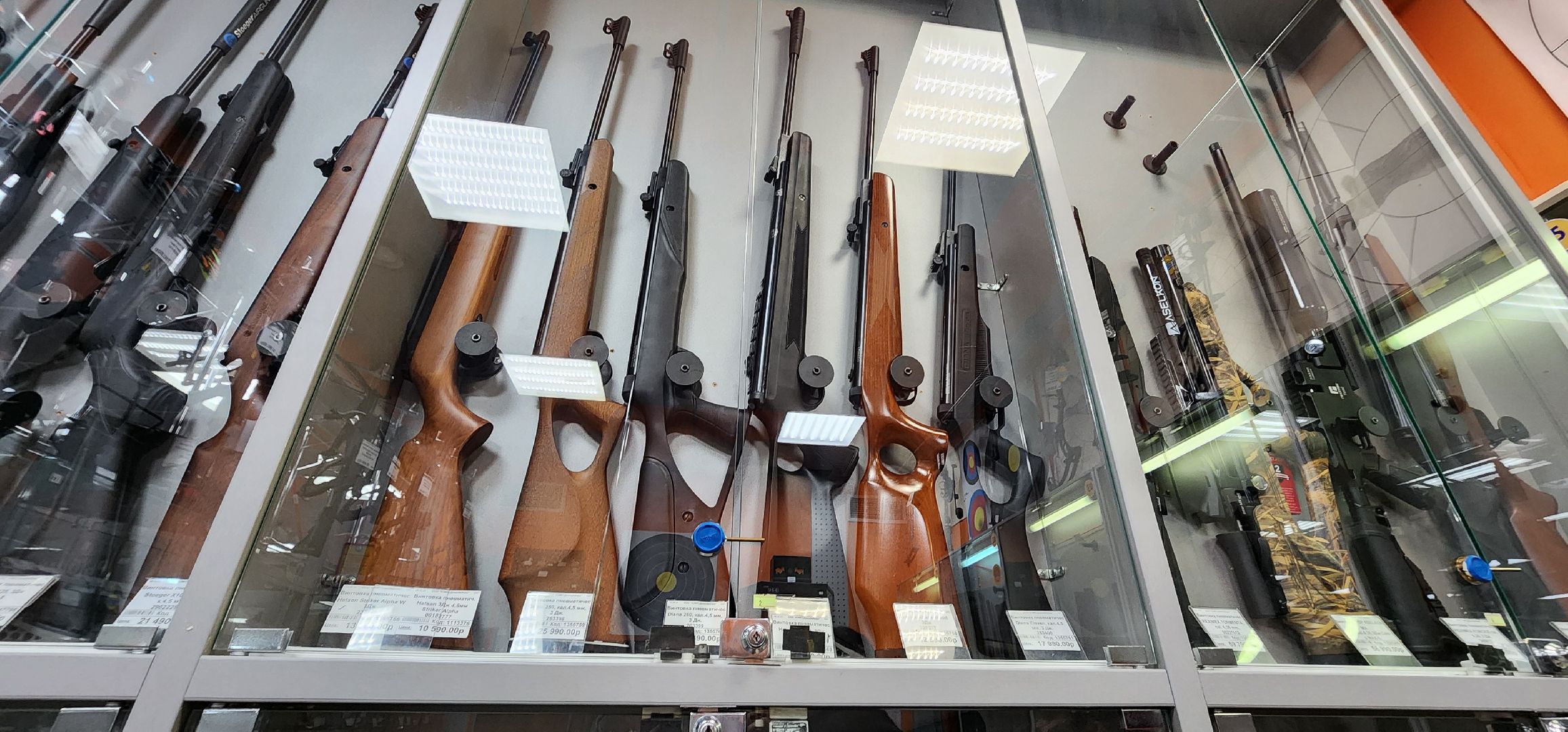 лицензия на оружие, Росгвардия, Домодедово,