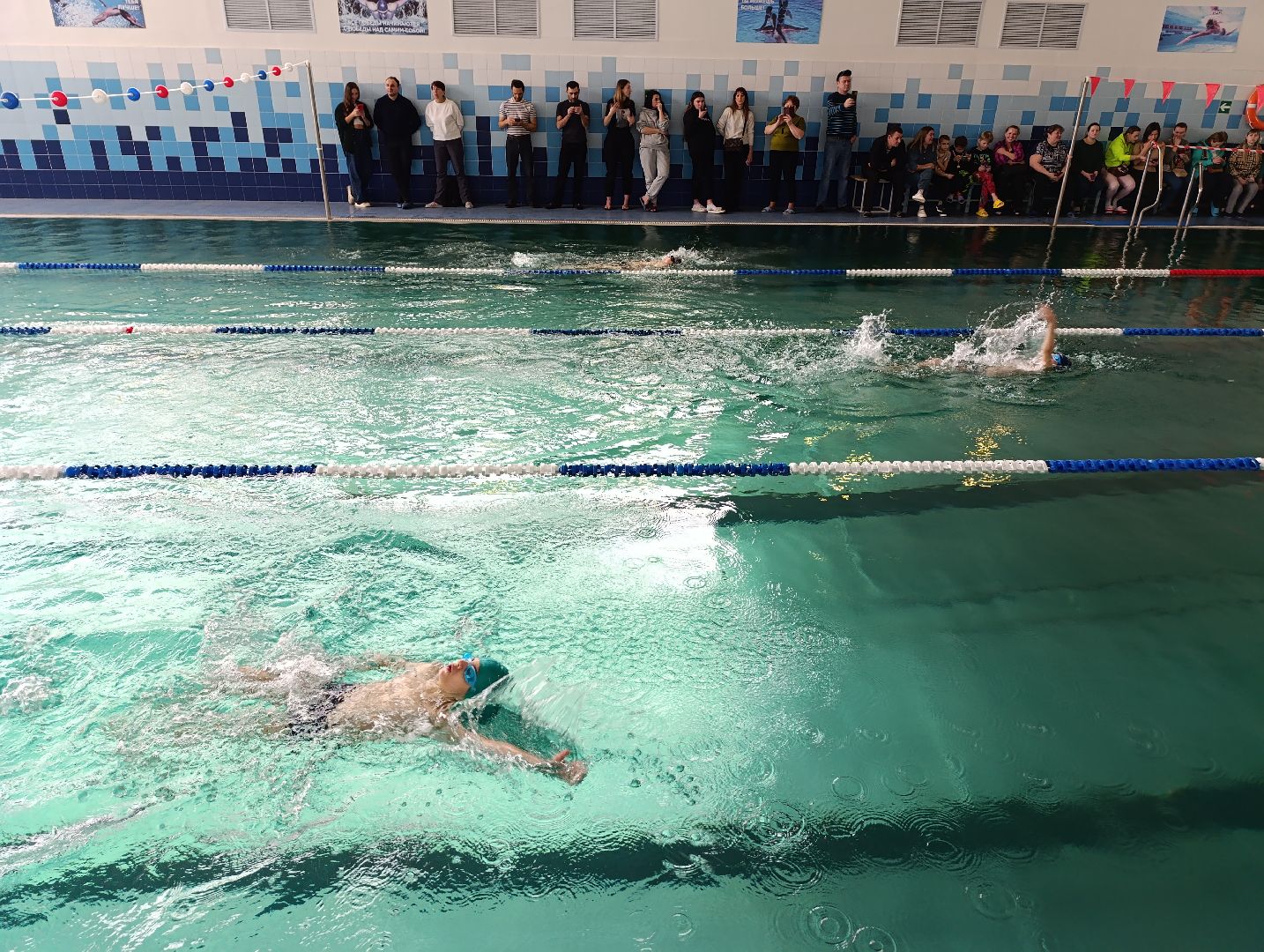 Плавание, Бронницы, Спорт,