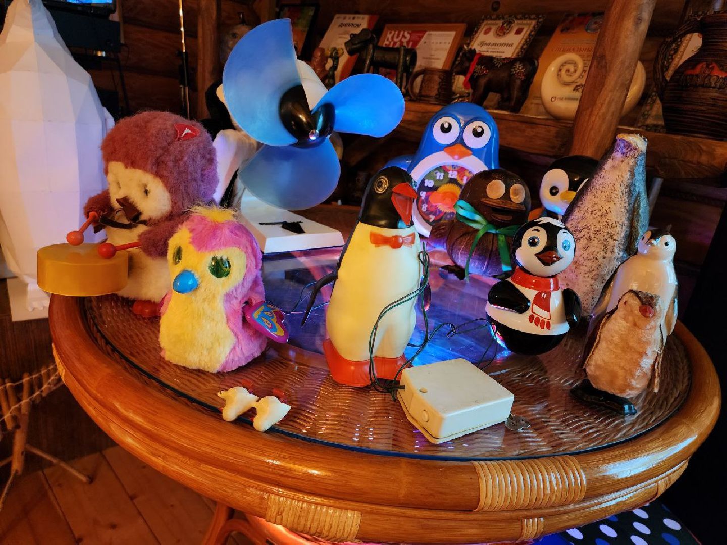 можайск, можайский округ, подмосковье, дом пингвинов, пингвины, выставка, пуршевские дали, усадьба керамики, туризм,
