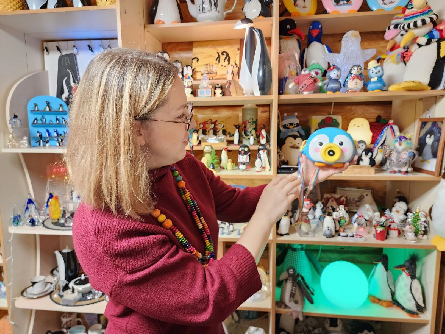 можайск, можайский округ, подмосковье, дом пингвинов, пингвины, выставка, пуршевские дали, усадьба керамики, туризм,