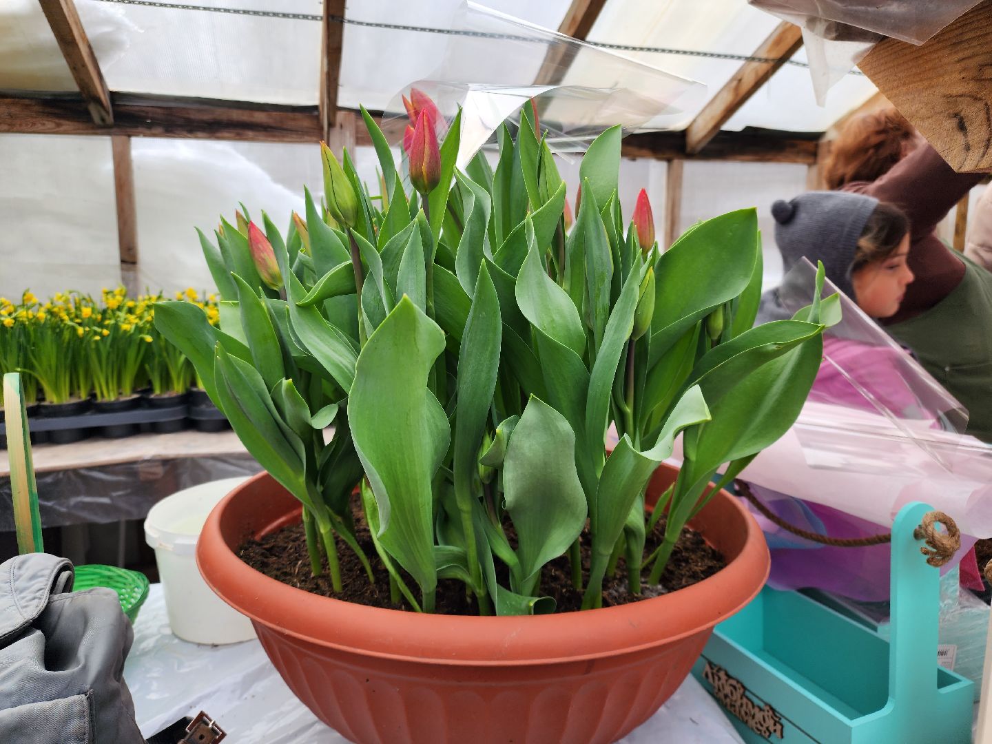 Звенигород, Фермерство, Сельское хозяйство, мастер класс,