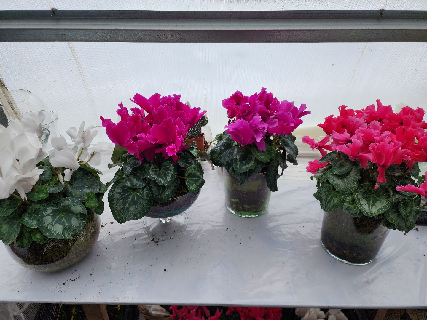 Звенигород, Фермерство, Сельское хозяйство, мастер класс,