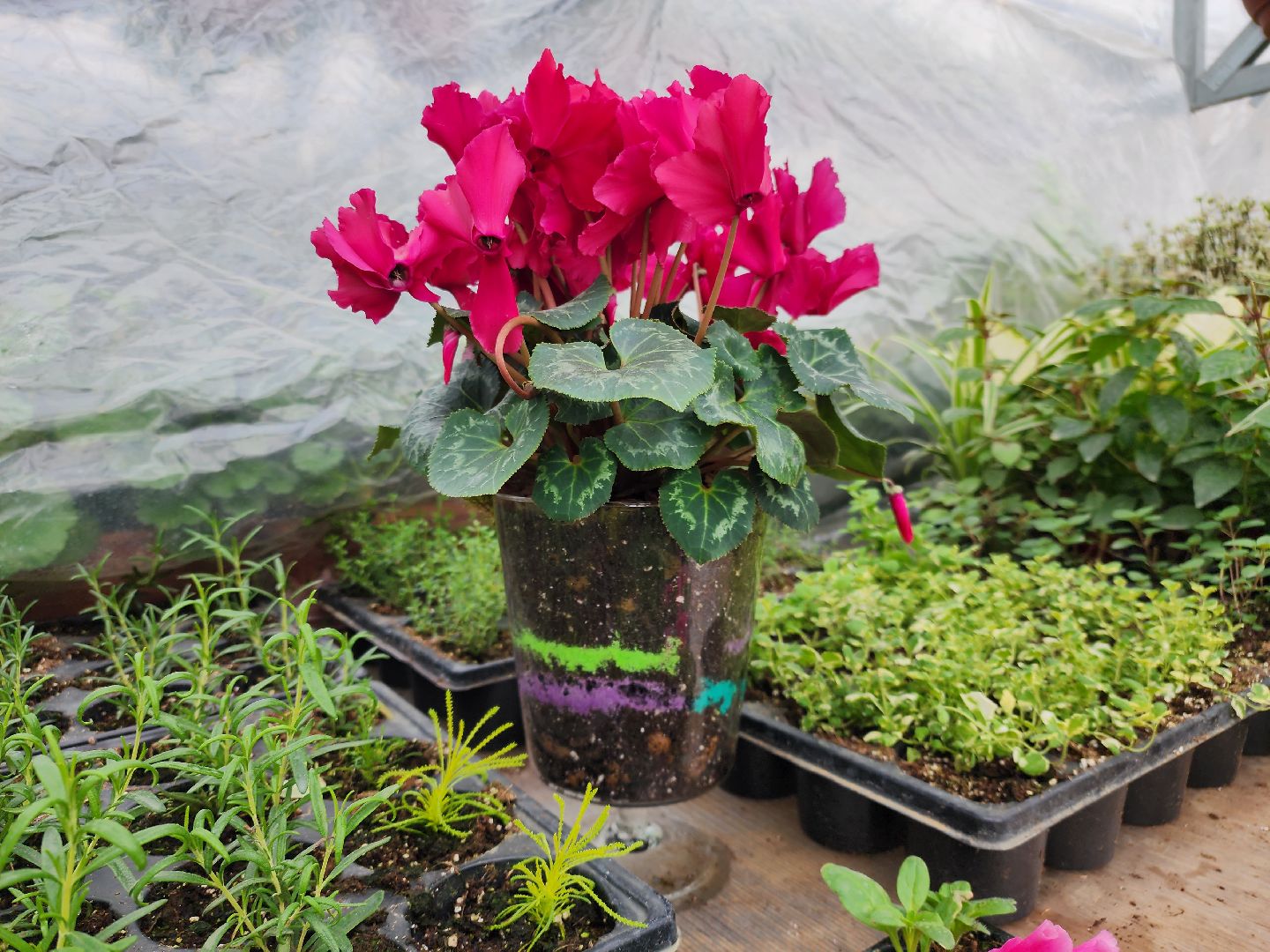 Звенигород, Фермерство, Сельское хозяйство, мастер класс,