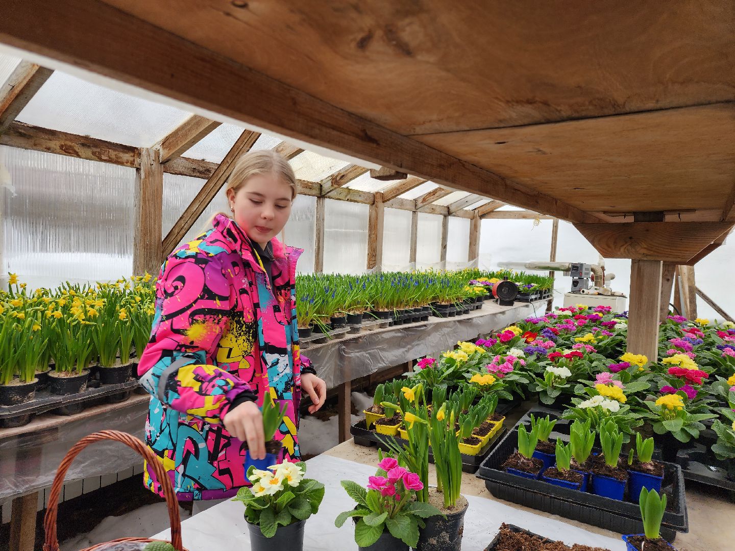 Звенигород, Фермерство, Сельское хозяйство, мастер класс,