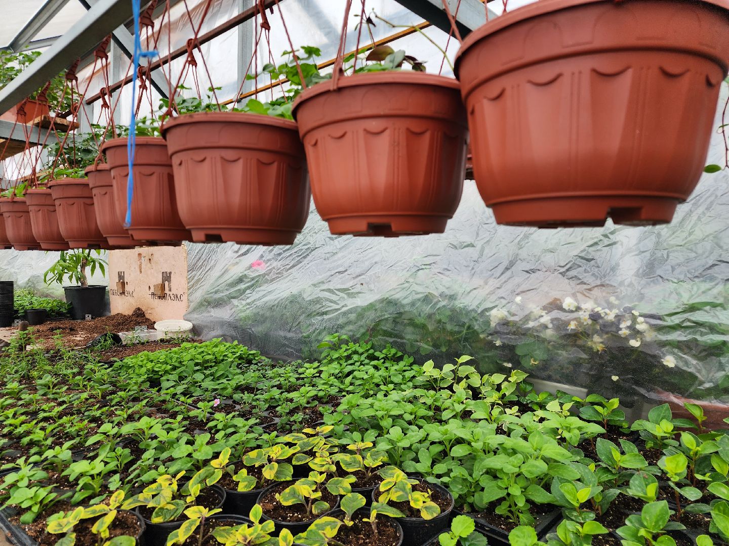 Звенигород, Фермерство, Сельское хозяйство, мастер класс,