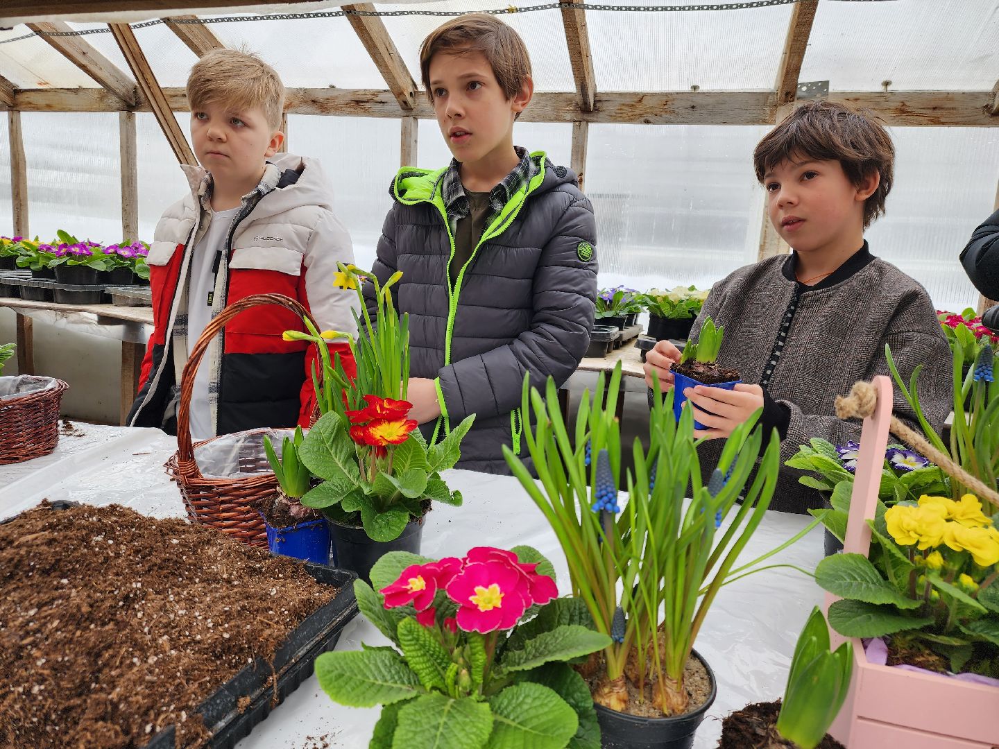 Звенигород, Фермерство, Сельское хозяйство, мастер класс,