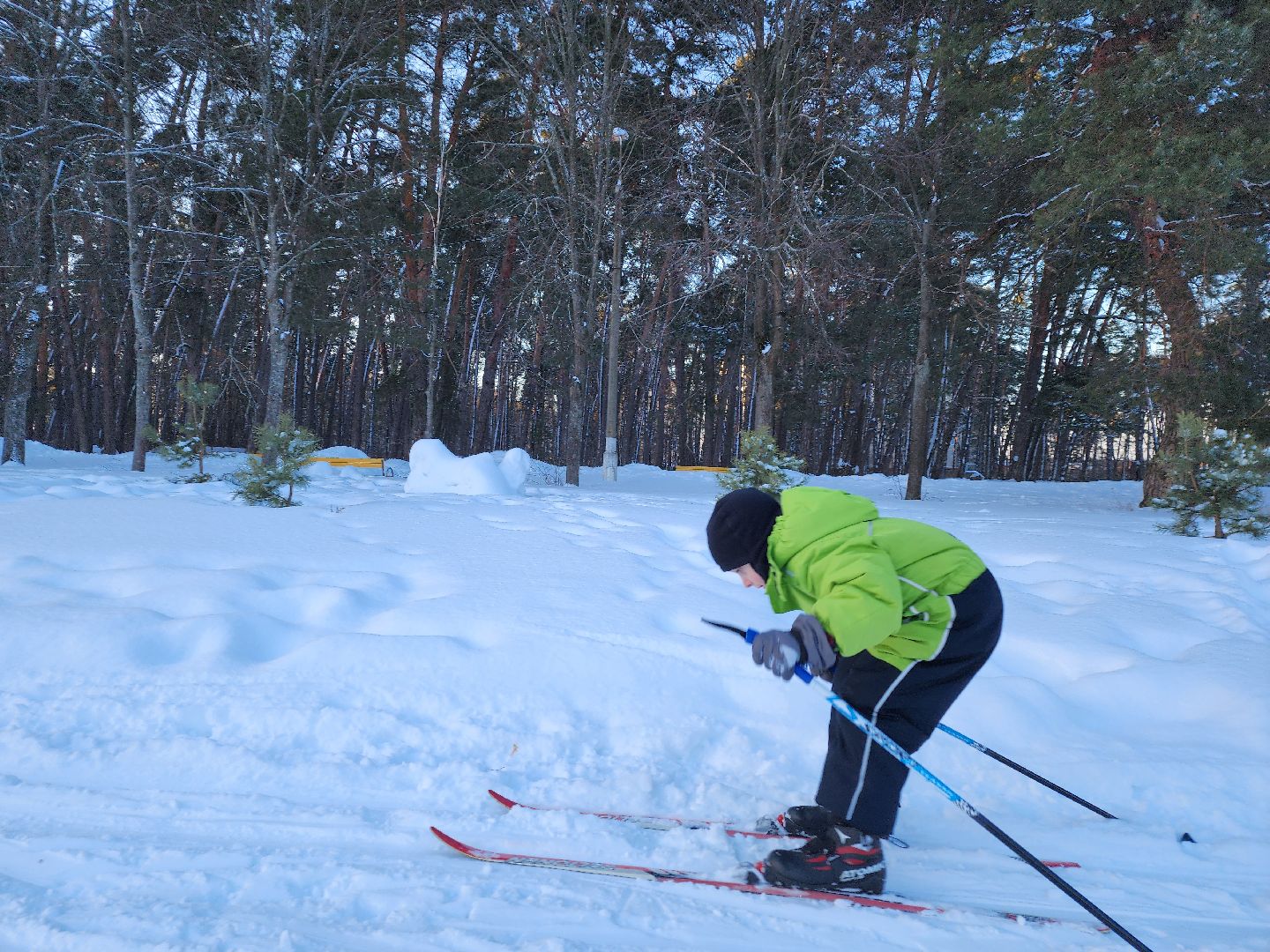 серпухов, подмосковье, секция лыжного спорта, стадион спартак,