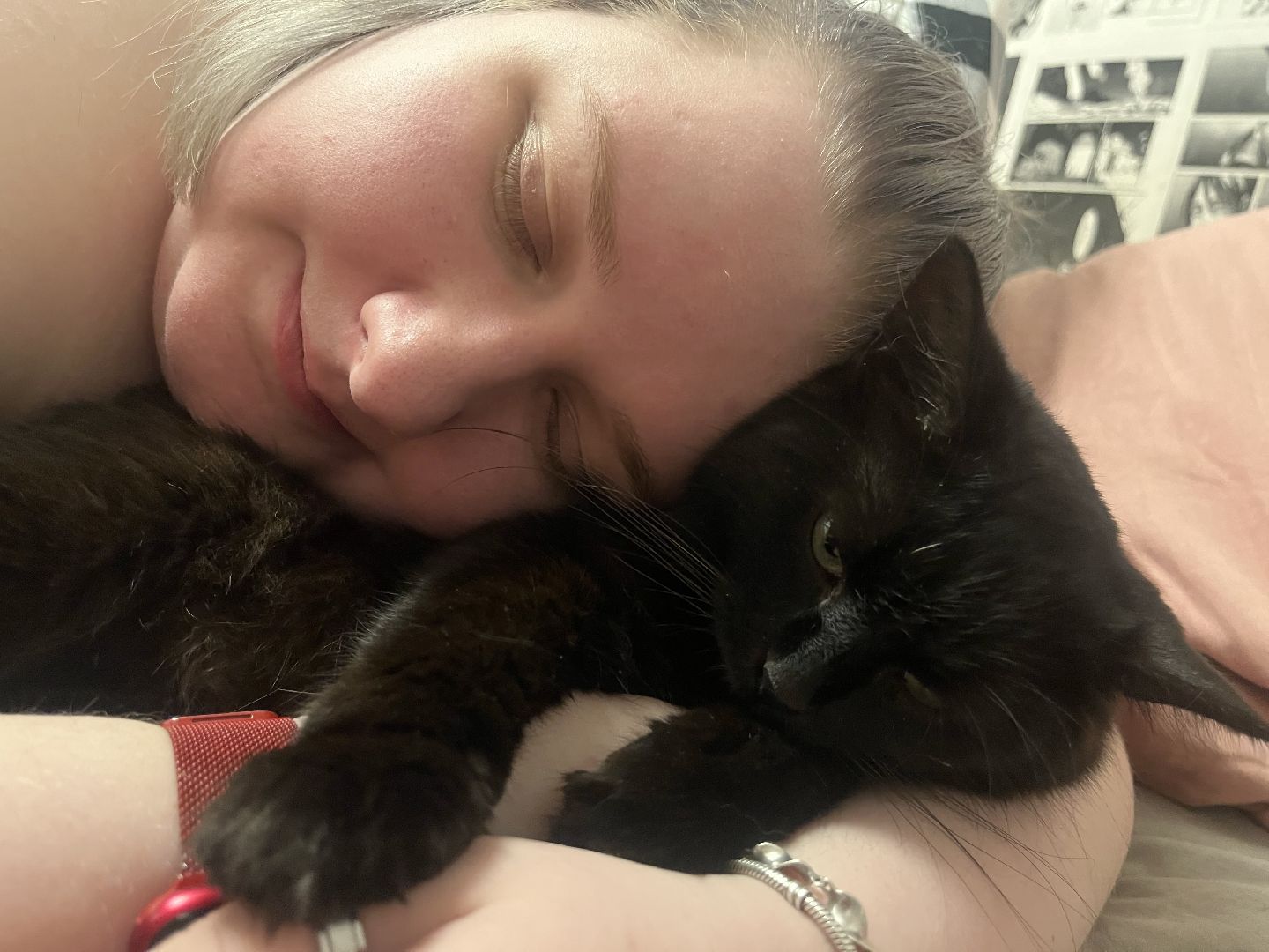 кошки, ветеринария, ветеринарный врач, спасение котов, день кошек,