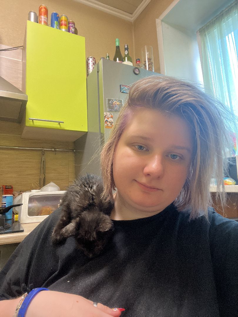 кошки, ветеринария, ветеринарный врач, спасение котов, день кошек,