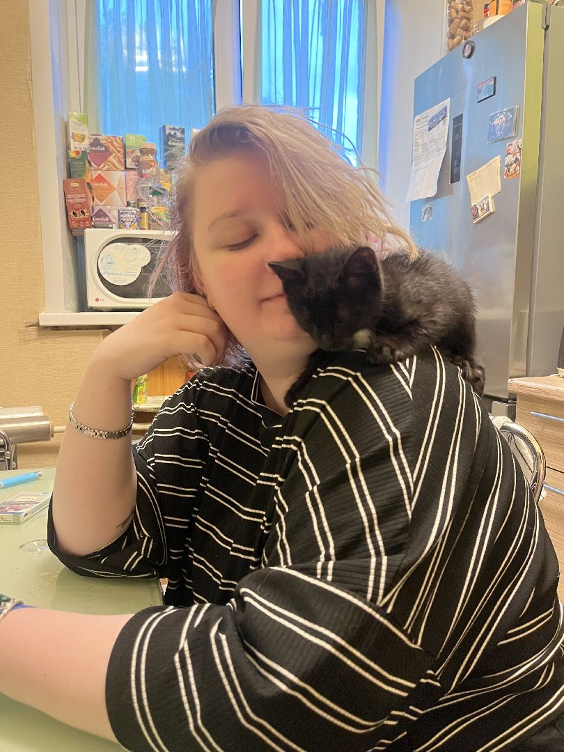 кошки, ветеринария, ветеринарный врач, спасение котов, день кошек,