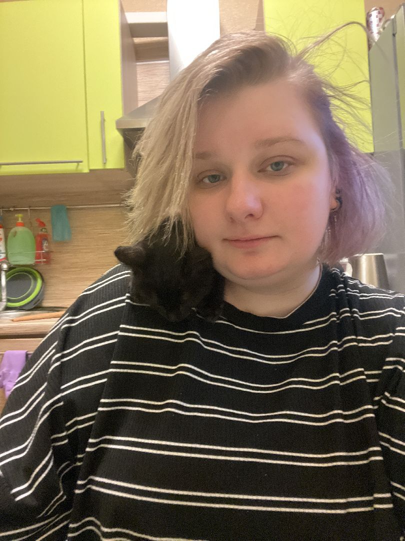 кошки, ветеринария, ветеринарный врач, спасение котов, день кошек,