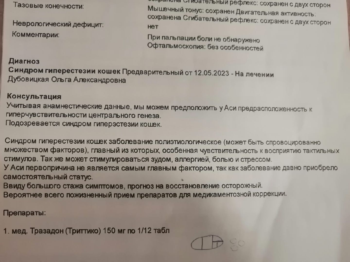 день кошек, кошки, собака, лобня,