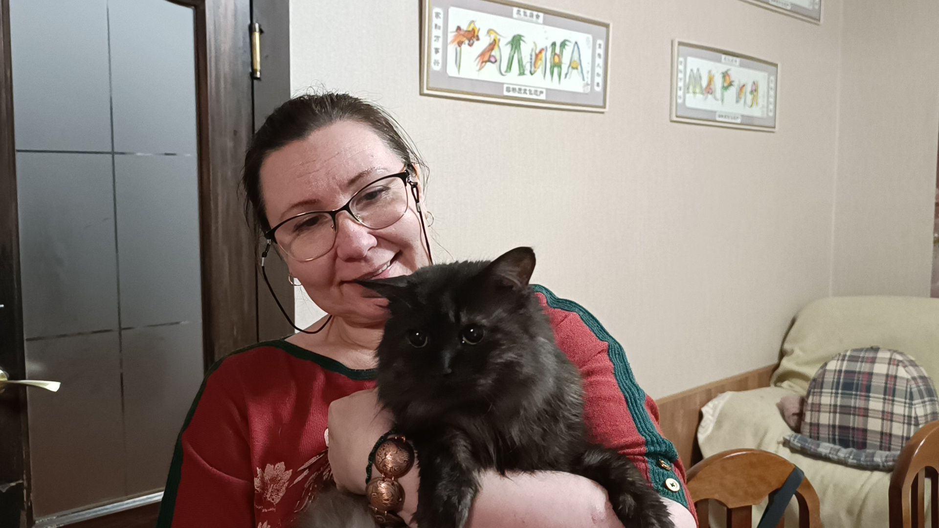 день кошек, кошки, собака, лобня,