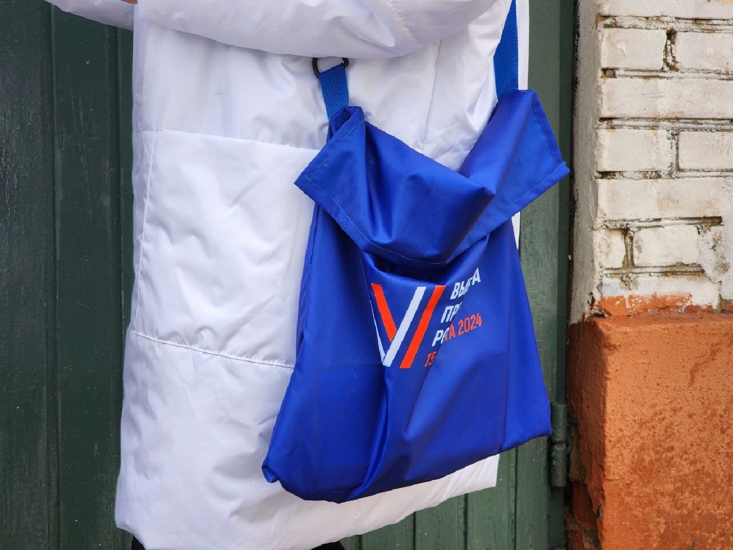 солнечногорск, обход квартир, выборы, волонтер, жители,