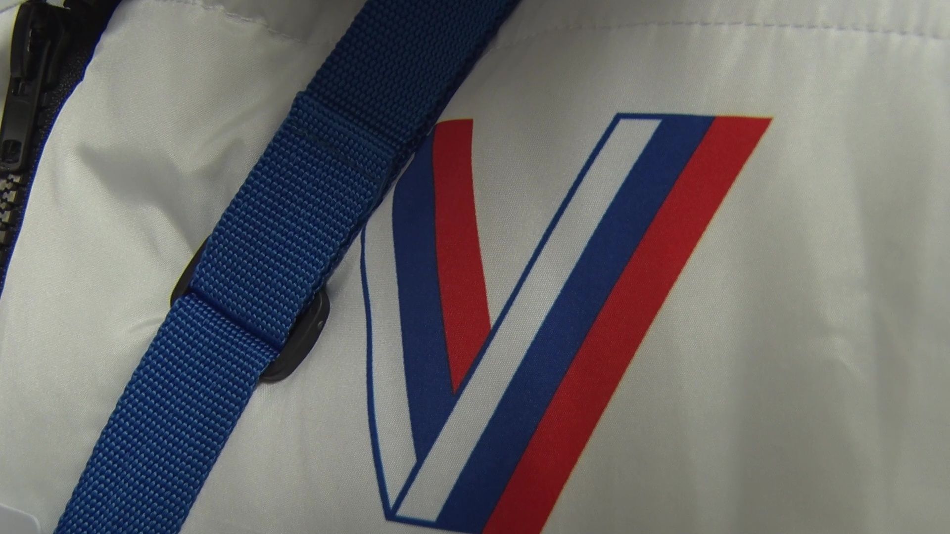 ленинский городской округ, Видное, информаторы, УИК, выборы президента, обход, обход квартир, буклеты,