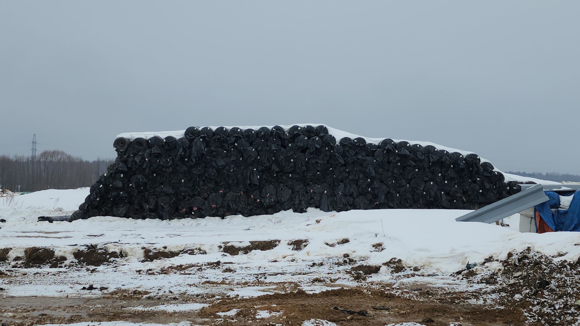 серпухов, лесная, полигон тбо, рекультивация, экология,