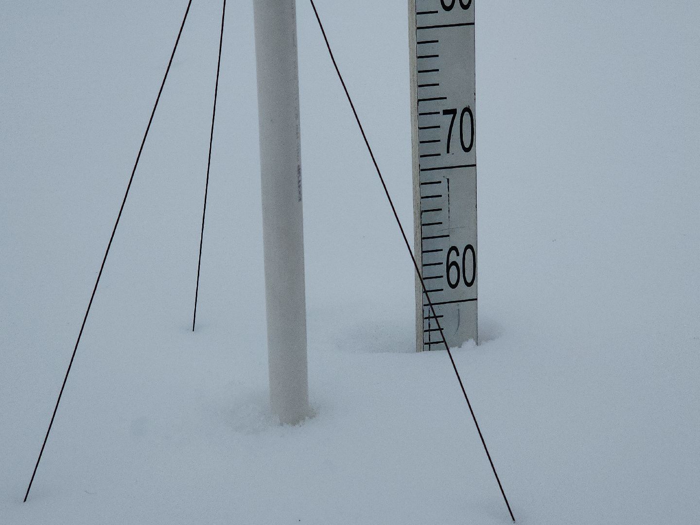 коломна, погода, зима 2024,