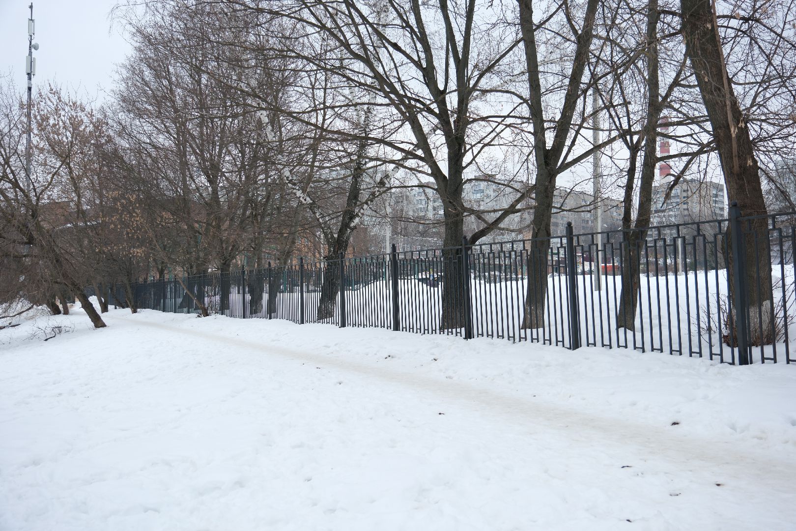 лыткарино, общество, выездная администрация, снег,