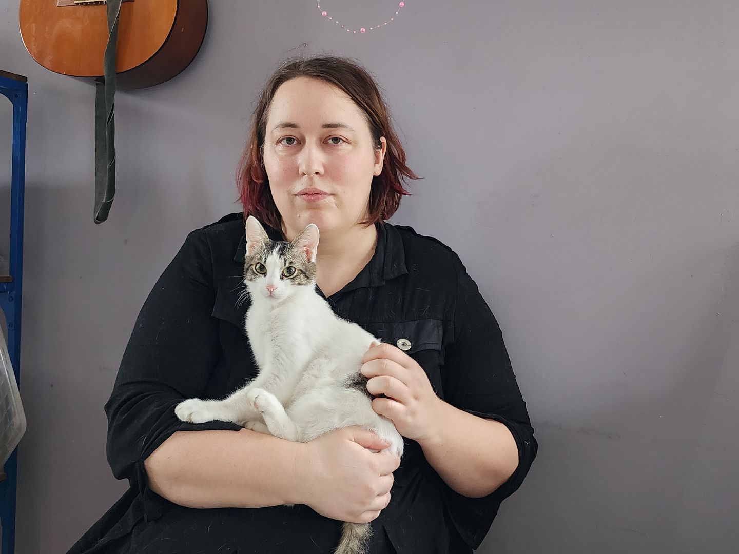 день кошек, донорство,