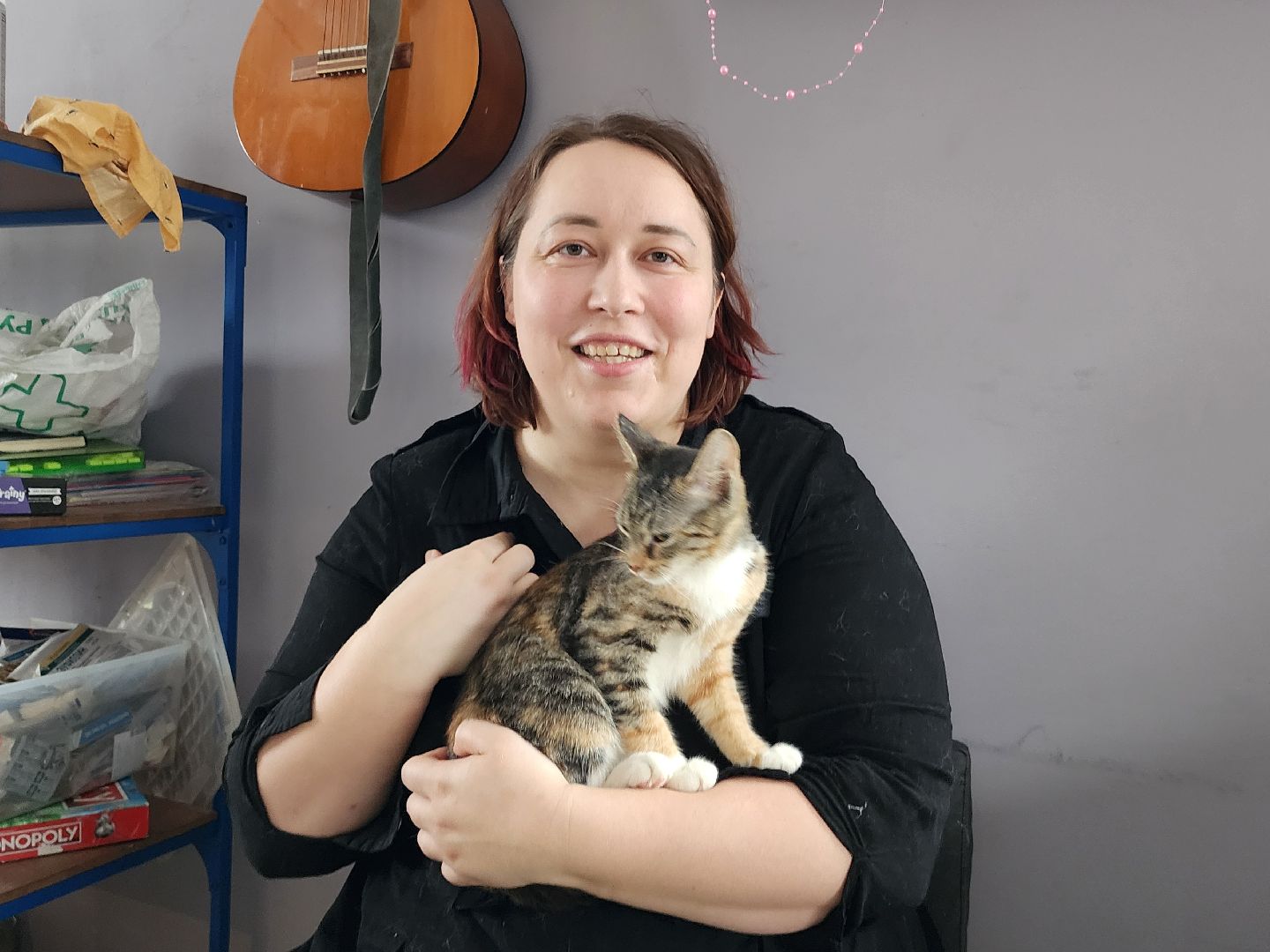 день кошек, донорство,