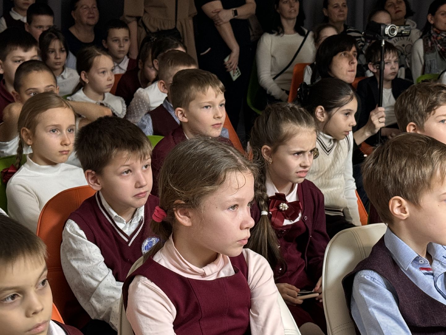 Одинцово, Социальный проект, Бездомные собаки, Без кулис,