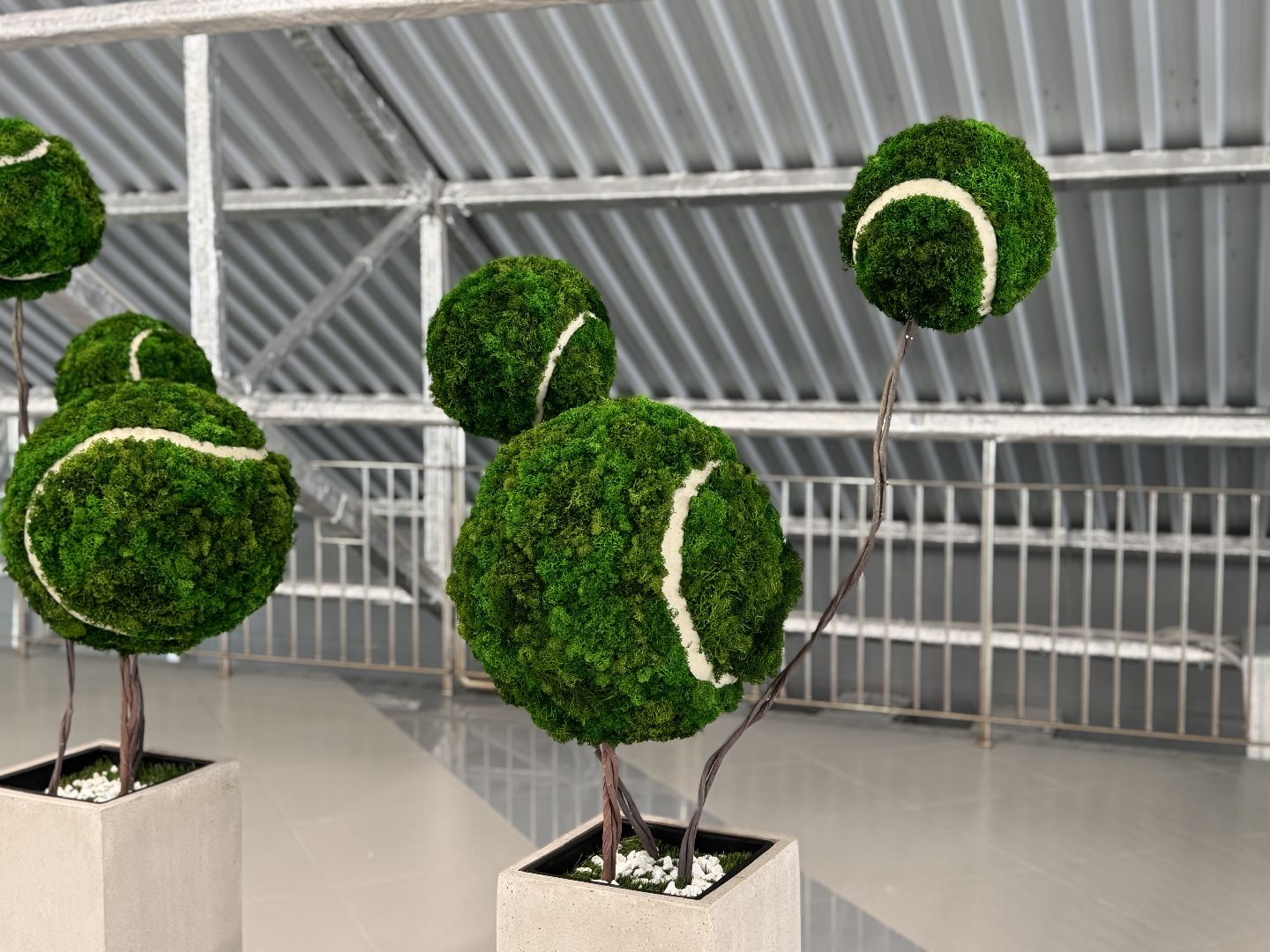 шаховская, теннис, теннисный корт,