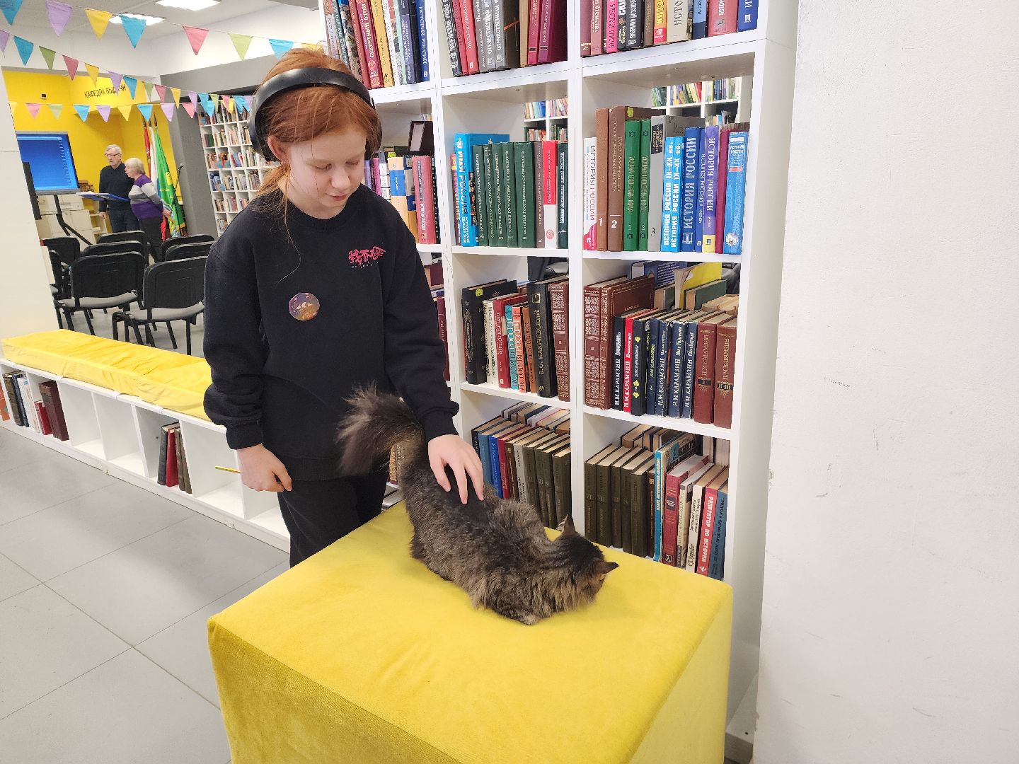 шатура, международный день кошек, библиотекарь, культура, городской округ культура,