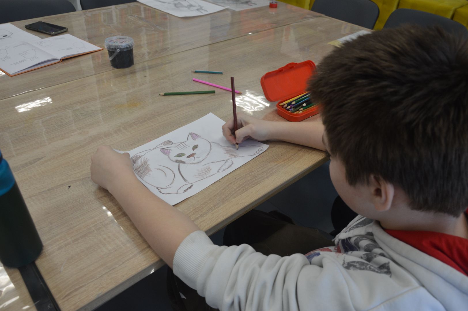 шатура, международный день кошек, библиотекарь, культура, городской округ культура,