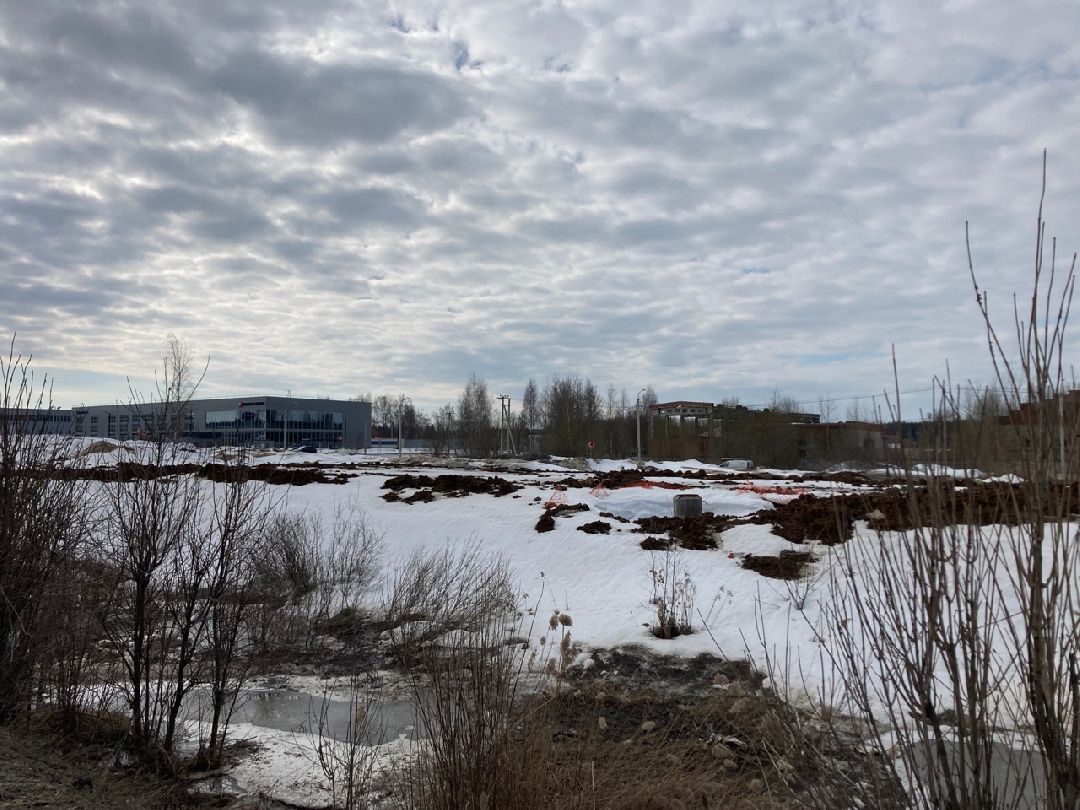 Солнечногорск, Экономика, овощи, фрукты