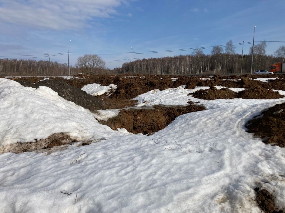 Солнечногорск, Экономика, овощи, фрукты