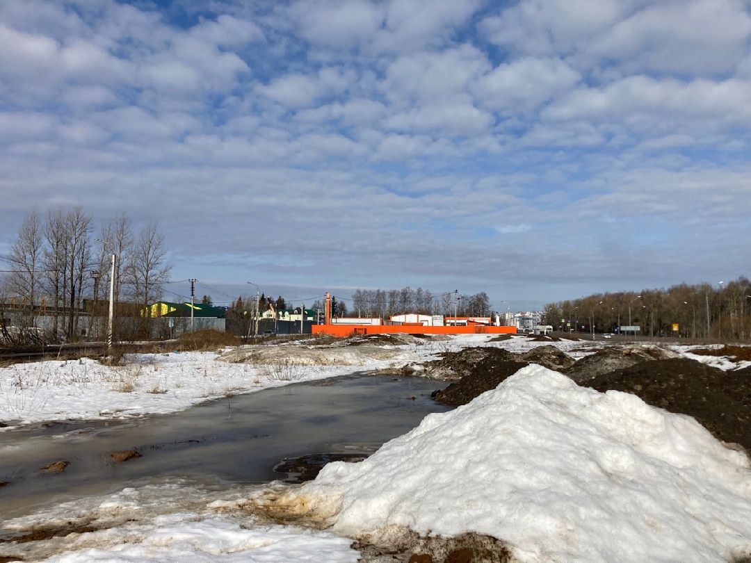 Солнечногорск, Экономика, овощи, фрукты