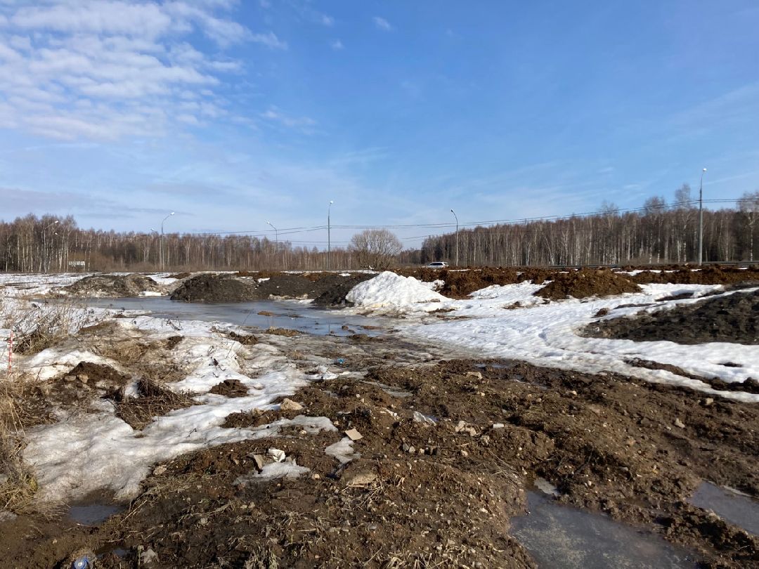 Солнечногорск, Экономика, овощи, фрукты