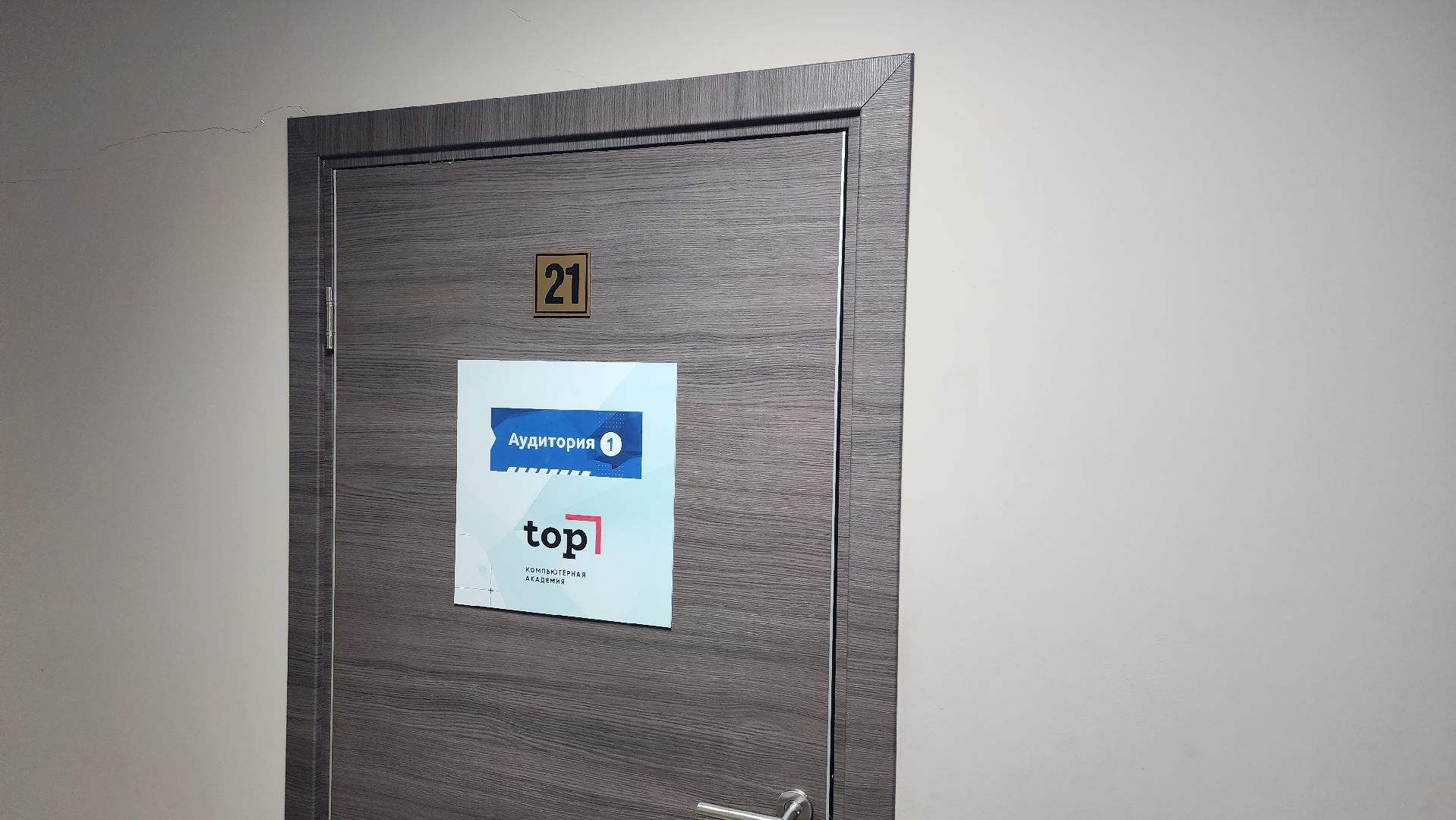 академия top, Тигран Айрамян, roblox, Tincercad, тц самолет, Гагарина 60, бесплатно,